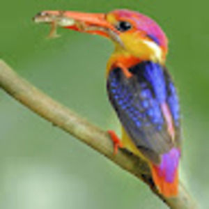 Meet your Posher, Patrick